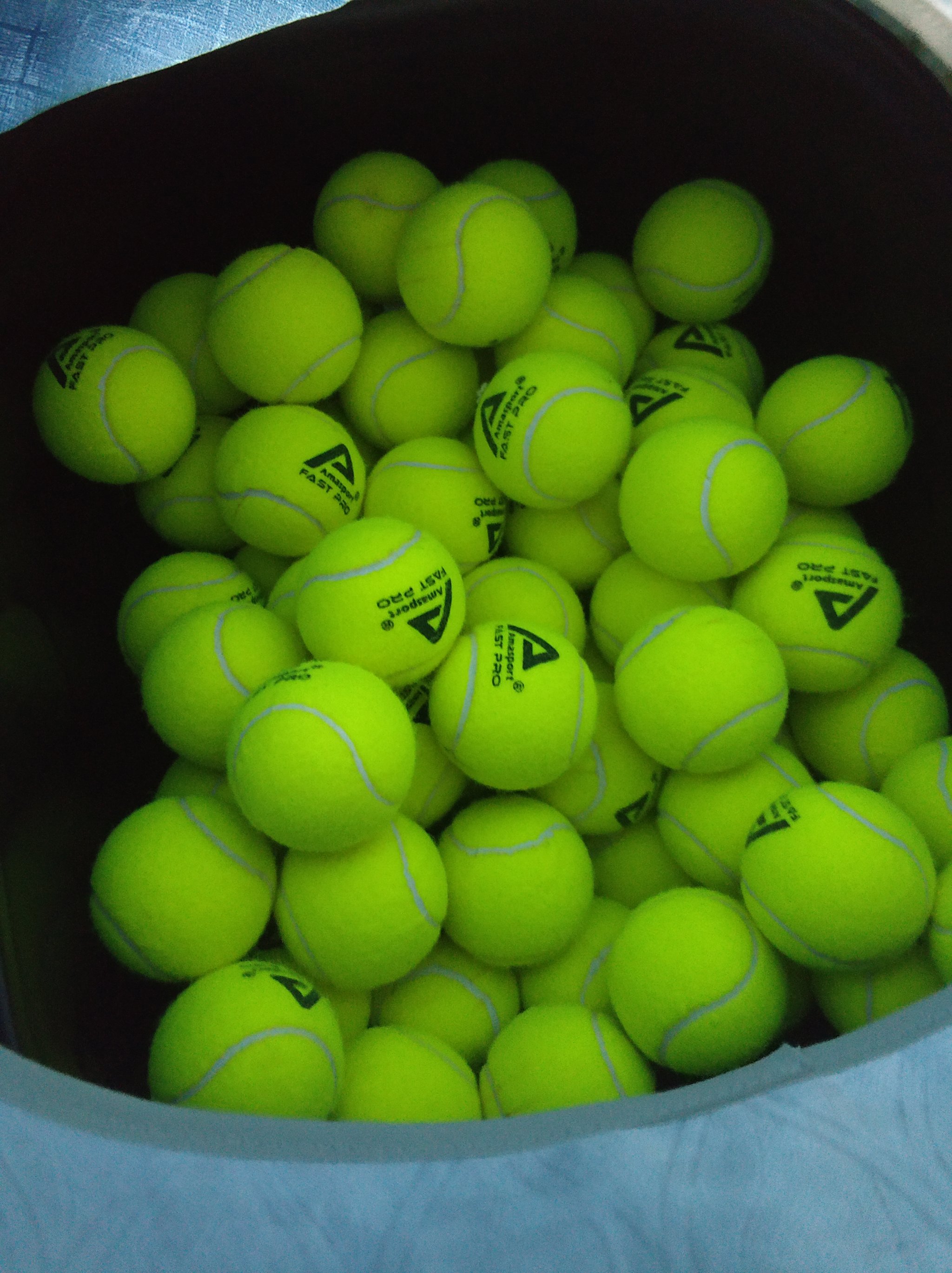 种全新的生 种全新的生