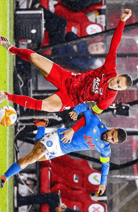 年庆海报的 年庆海报的