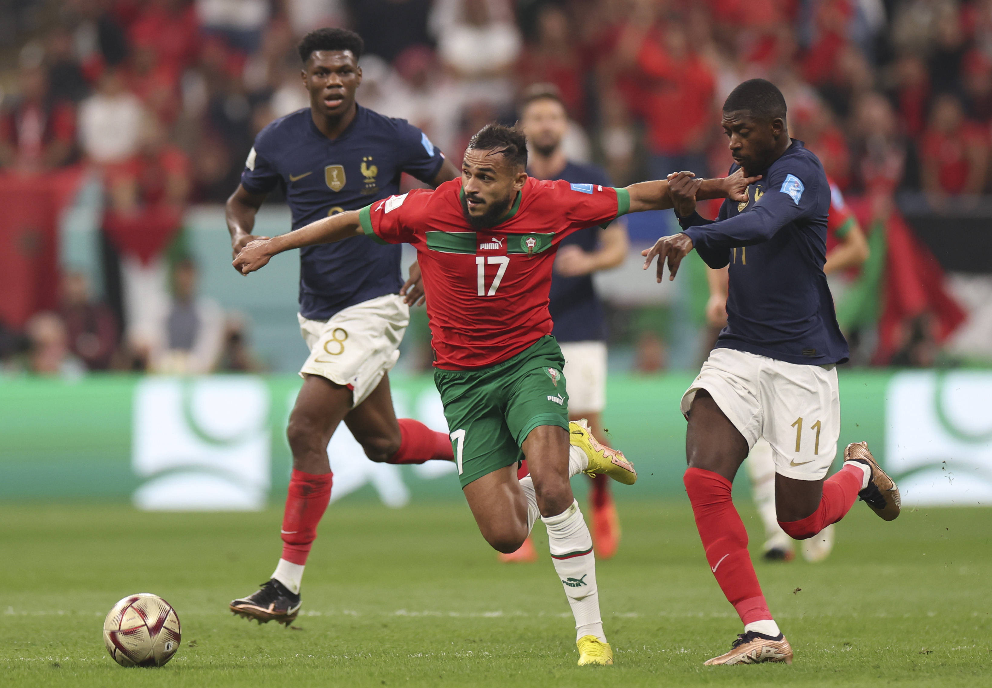 国际大奖的 国际大奖的